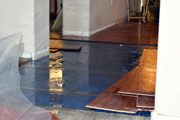 Professional Water Extraction technician working in Larchwood, IA
